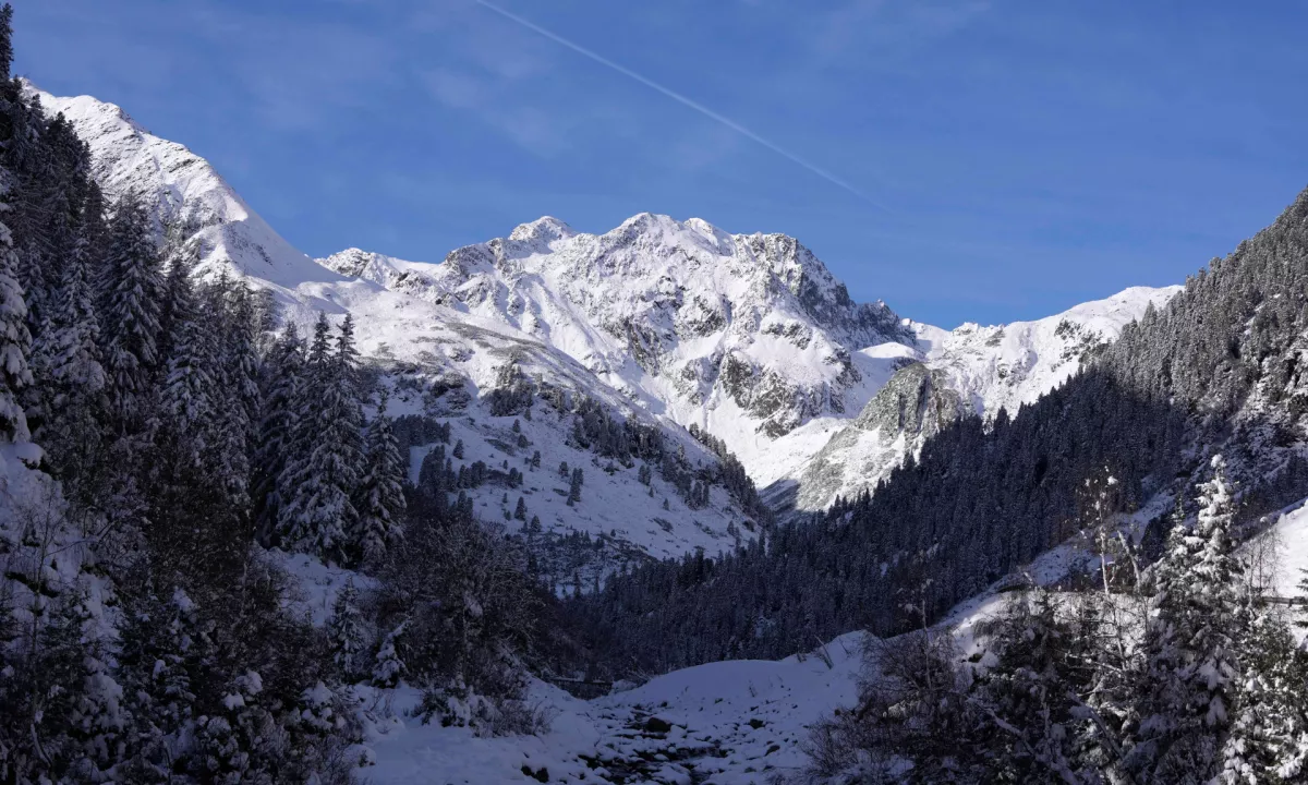 Plaz na Tirolskem zasul smučarje, več poškodovanih