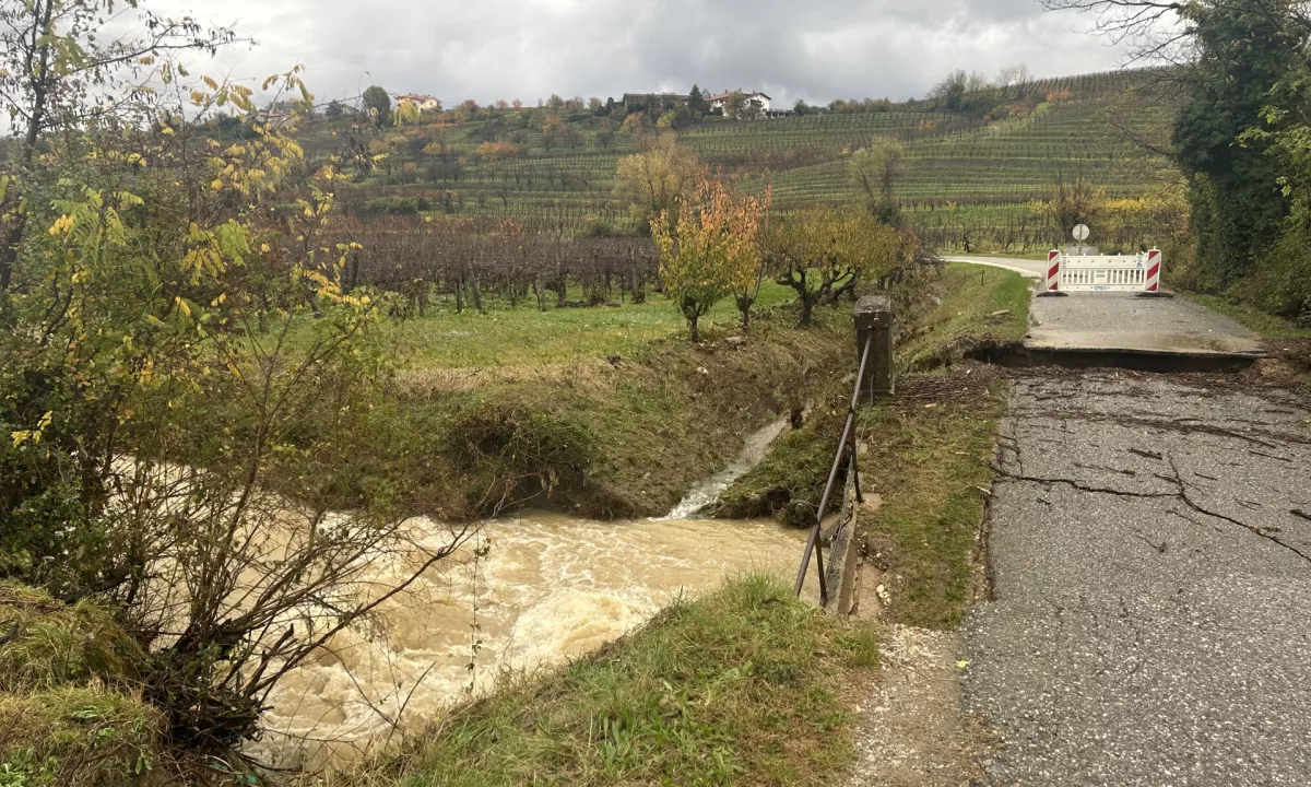 Ministrica Čalušić v Goriških brdih o stanju po ujmi in razmerah v kmetijstvu