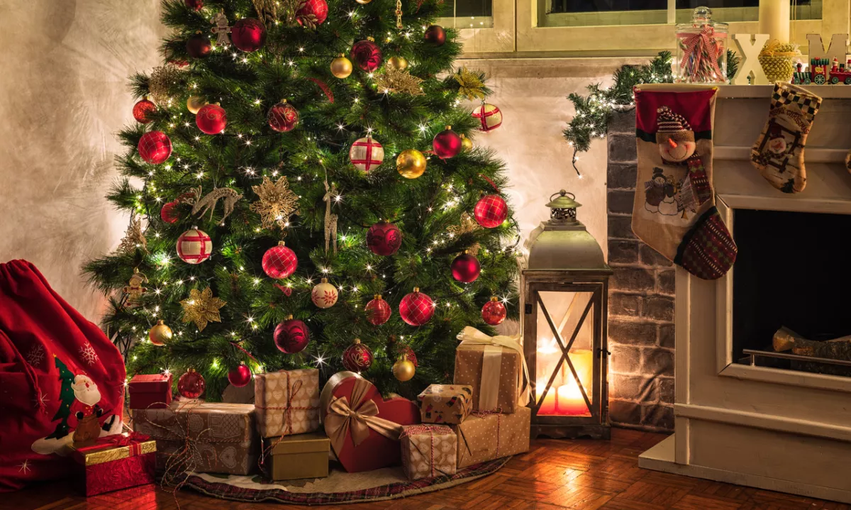 Zgodbe, skrite v božičnih simbolih in navadah