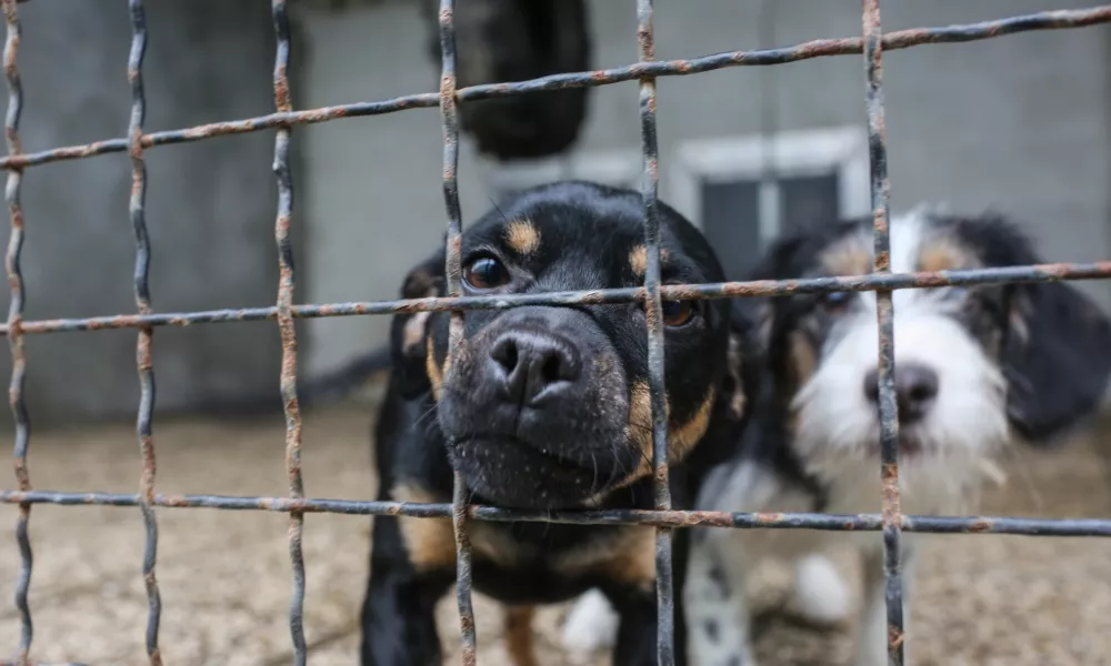 Lastniki zaveti&scaron;č napovedujejo zlom sistema