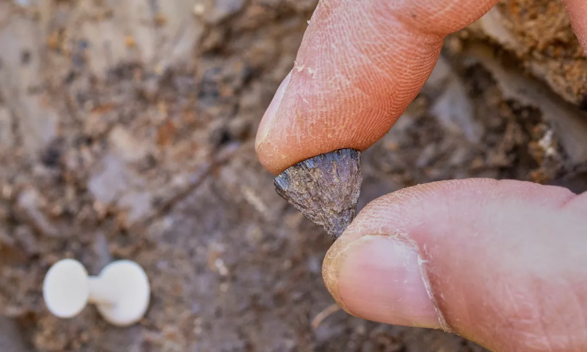 V Veliki Britaniji odkrili najstarejše dokaze o človeški sposobnosti zanetenja ognja