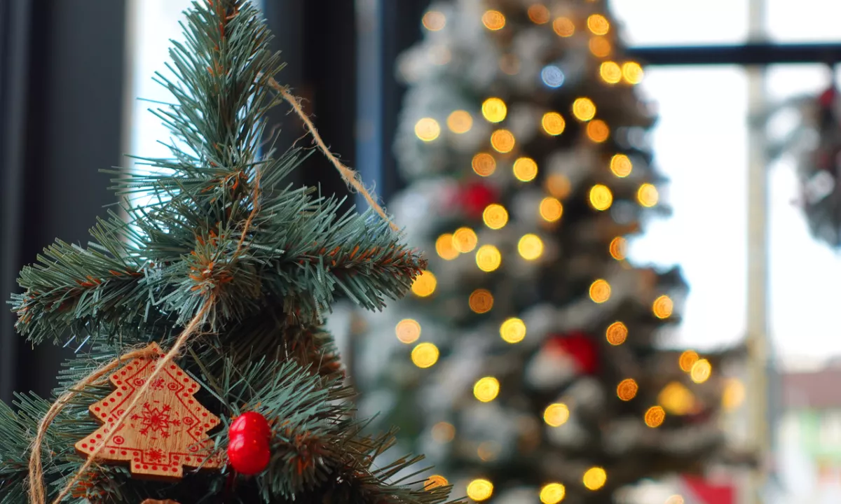 Božična pogostitev za vse, ki si je ne morejo privoščiti