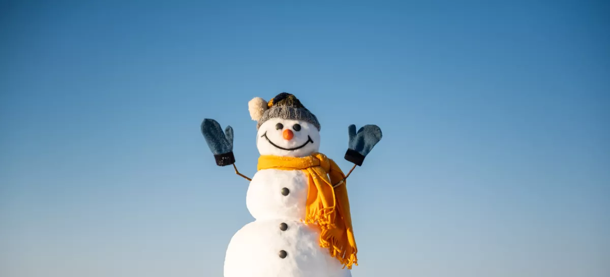 Sneženi mož nam pravi: Dobrodo&scaron;li! / Foto: Istock