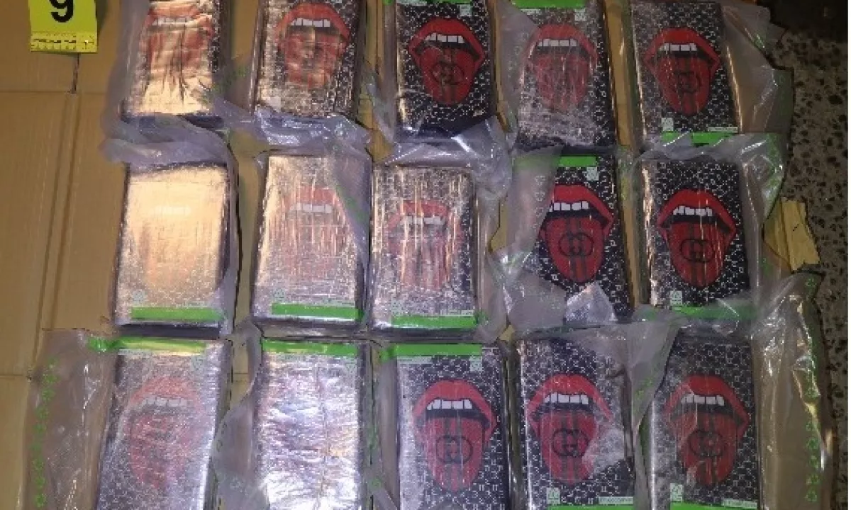 Ljubljana: med predajo zasegli 30 kilogramov kokaina, vrednega 750.000 evrov