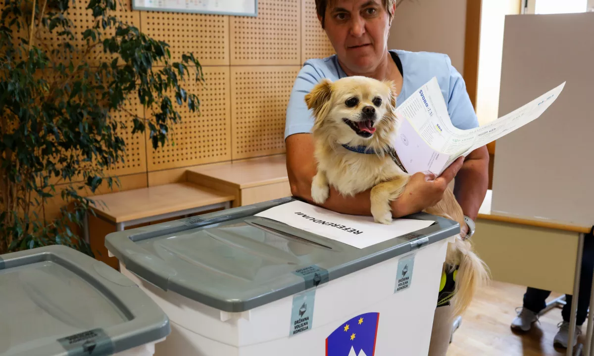 Na Državni volilni komisiji so si izplačevali preveč dodatka za povečan obseg dela