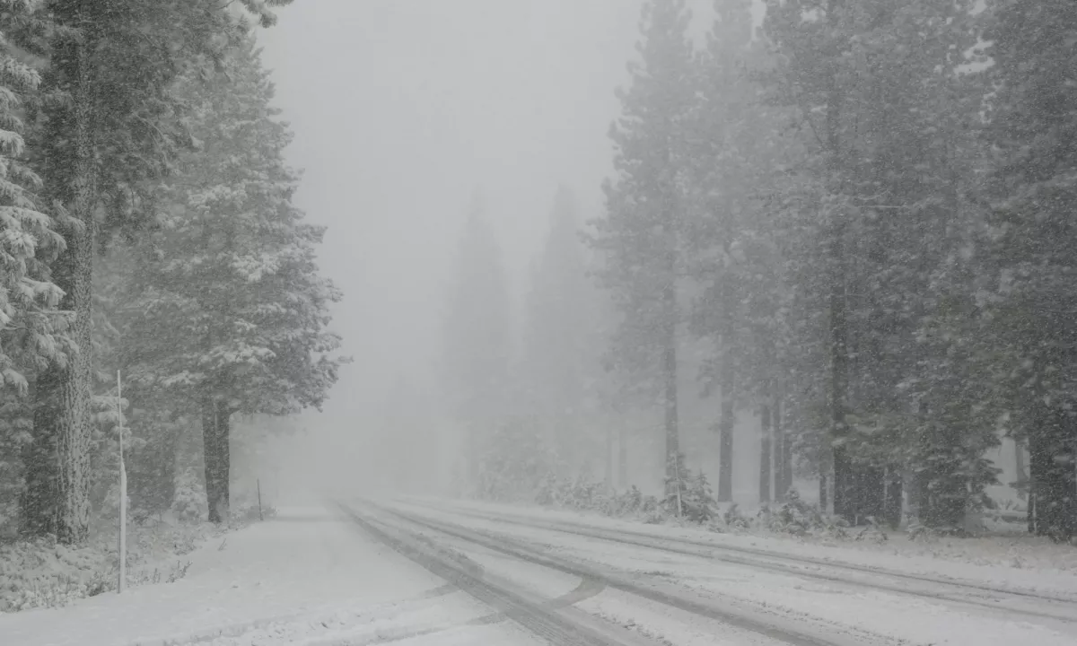 Dele Slovenije zajelo sneženje, zapade lahko do deset centimetrov snega