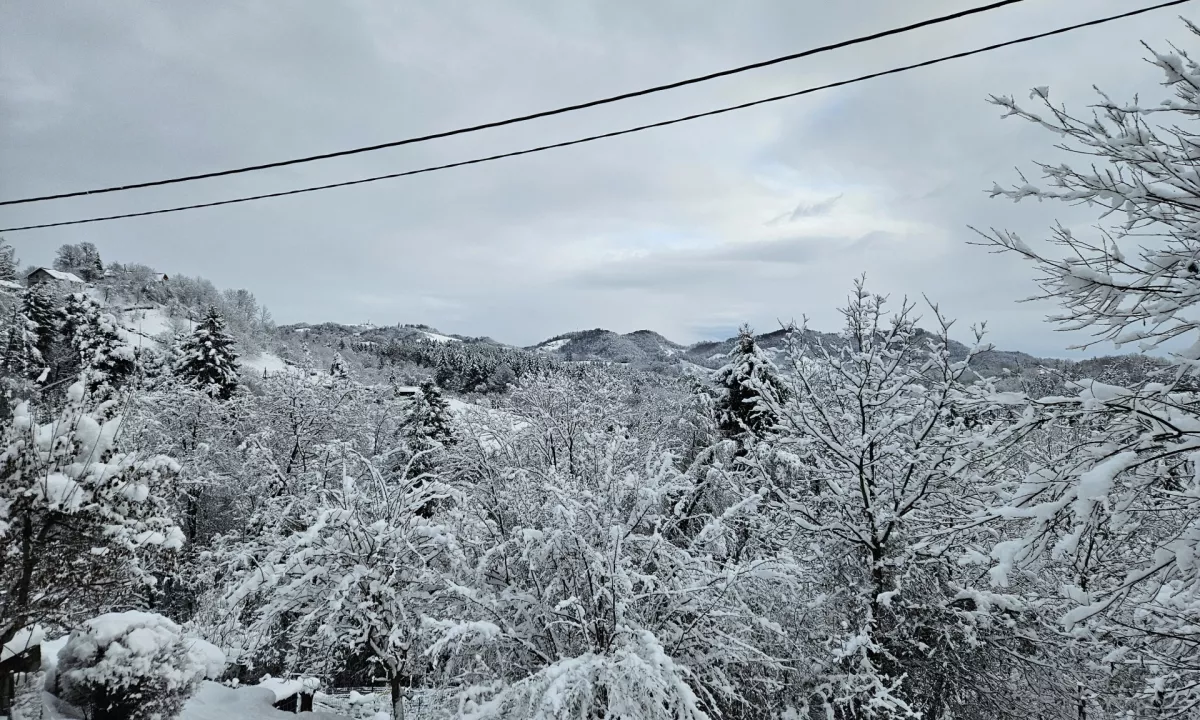 Elektro Maribor si je prizadeval odpraviti izpade elektrike zaradi snega