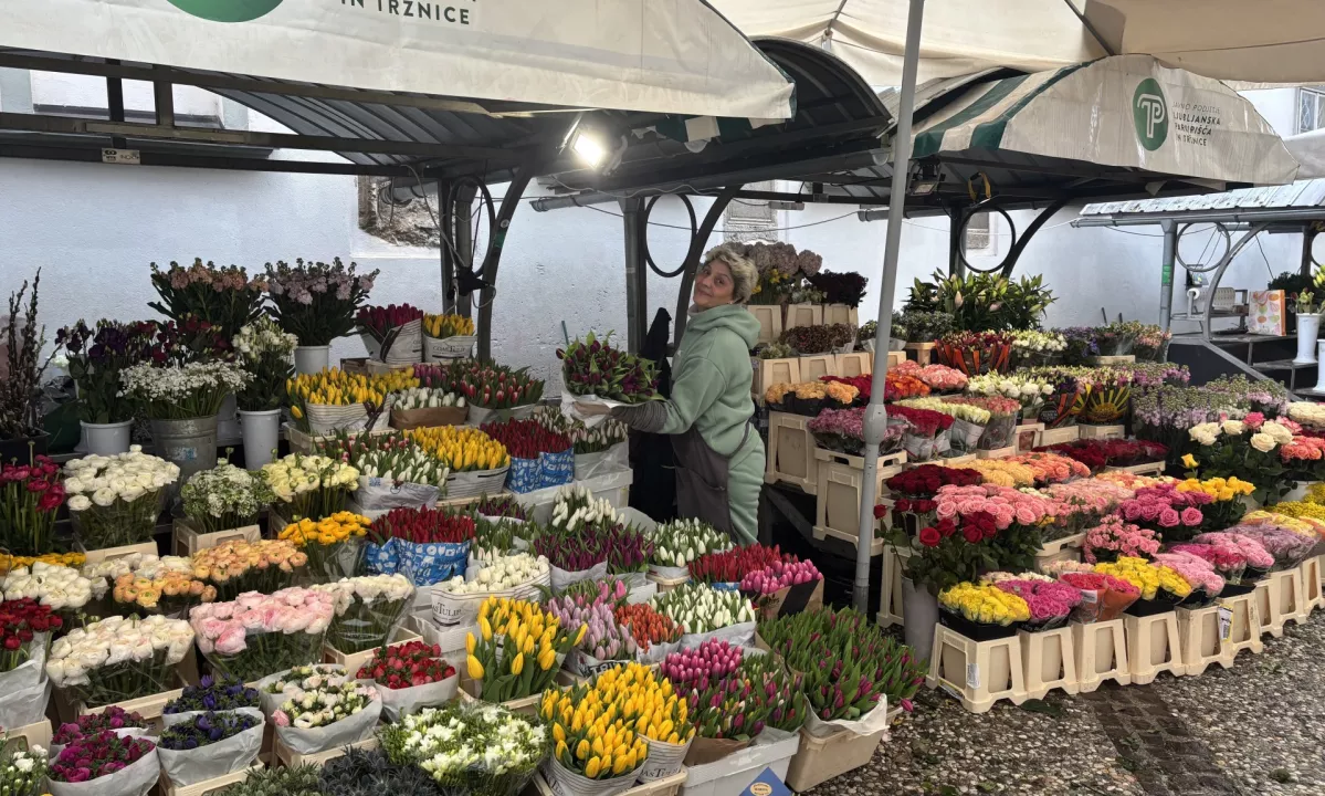 Pred bližajočim se valentinovim smo preverili ponudbo cvetja na osrednji ljubljanski tržnici, kjer je vsako leto največ zanimanja za vrtnice