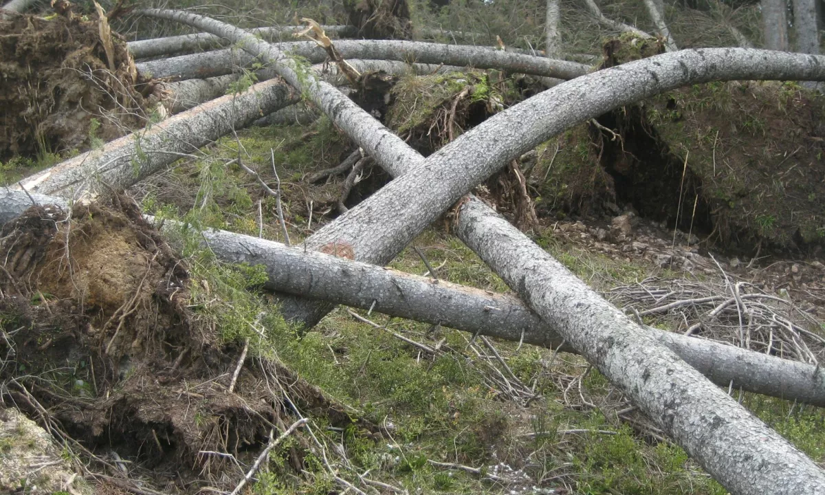 ‼️Vremensko dogajanje nad Slovenijo in širšo regijo v prihodnjih dneh obeta pravi meteorološki triler.