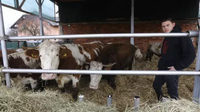 Veterinarska in&scaron;pektorica Danu&scaron;a &Scaron;tiglic je morala spet v &ldquo;malo &scaron;olo&rdquo;