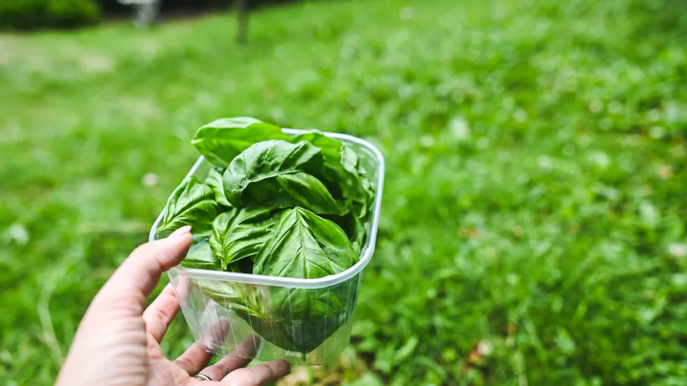 Foto: Arhiv ponudnika