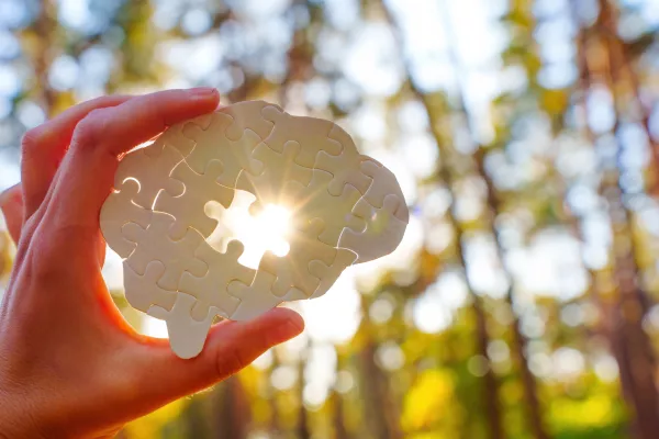 Hand holding a puzzle piece shaped like a brain, sunlight shining through in a forest setting. / Foto: Ekaterina Chizhevskaya