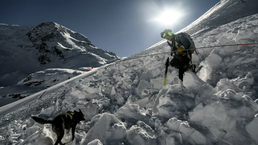 A dog-handler member of the CRS Alpes Grenoble mountain rescue team searches with a dog for potential buried victims during an avalanche emergency response rescue mission in an off-piste area of the Ecrins massif, French Alps on January 29, 2026.,Image: 1070575453, License: Rights-managed, Restrictions:, Model Release: no / Foto: Profimedia