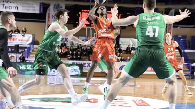 Vsaka lovorika &scaron;teje