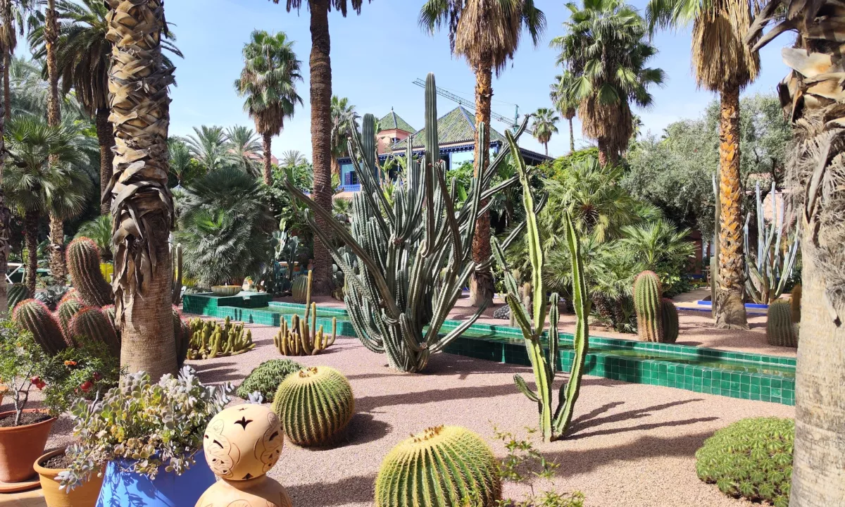 Družina Alty iz Manchestra zlepa ne bo pozabila dopusta v Maroku. Njihovo nenavadno prigodo je razkril britanski časnik The Telegraph, ki se je pogovarjal z Andrewom Altyjem, podjetnikom, ki se je z ženo in otrokoma odpravil na oddih v Marakeš.