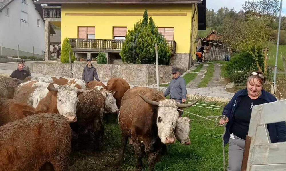 Kmetija Možgan, Leskovec pri Kr&scaron;kem, mučenje živali. Foto: družina Možgan 