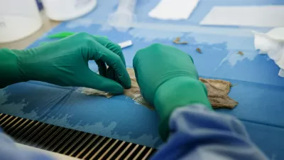 Člove&scaron;ko tkivo, Biobanka. Foto: Profimedia