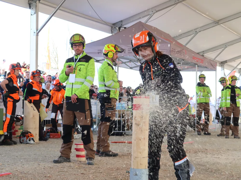 Svetovno gozdarsko prvenstvo, marec 2026, &Scaron;entjernej, gozdarji, gozd, motorka, podiranje dreves, Ma&scaron;a Kurent / Foto: Nata&scaron;a Bucik Ozebek