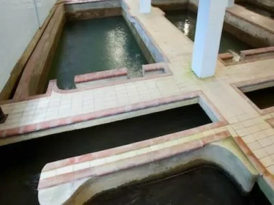 Rižanski vodovod, rižana 