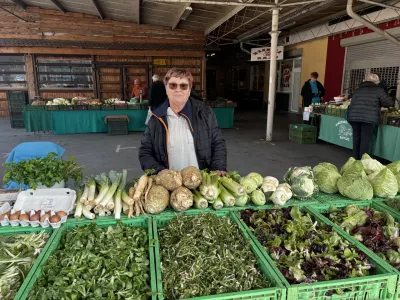 Branjevka na tržnici &Scaron;i&scaron;ka