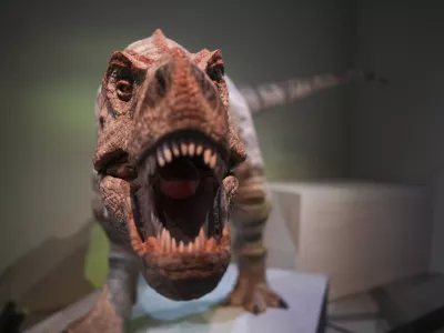 The Animatronic T Rex: Paul displays at the exhibition "Extinction. Resilience" in Palaeontology Gallery in Hong Kong Science Museum, Tsim Sha Tsui. 30OCT24. SCMP / Sam Tsang