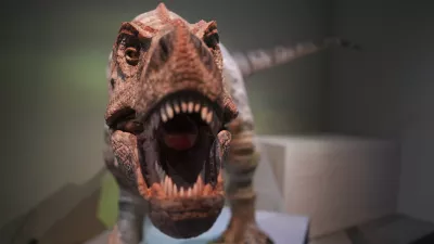 The Animatronic T Rex: Paul displays at the exhibition "Extinction. Resilience" in Palaeontology Gallery in Hong Kong Science Museum, Tsim Sha Tsui. 30OCT24. SCMP / Sam Tsang