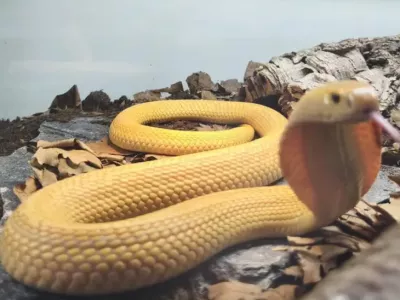 Foto: živalski vrt Zagreb