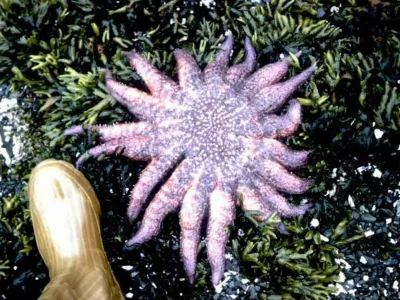 Image: 976724063, License: Rights-managed, Restrictions:, Model Release: no