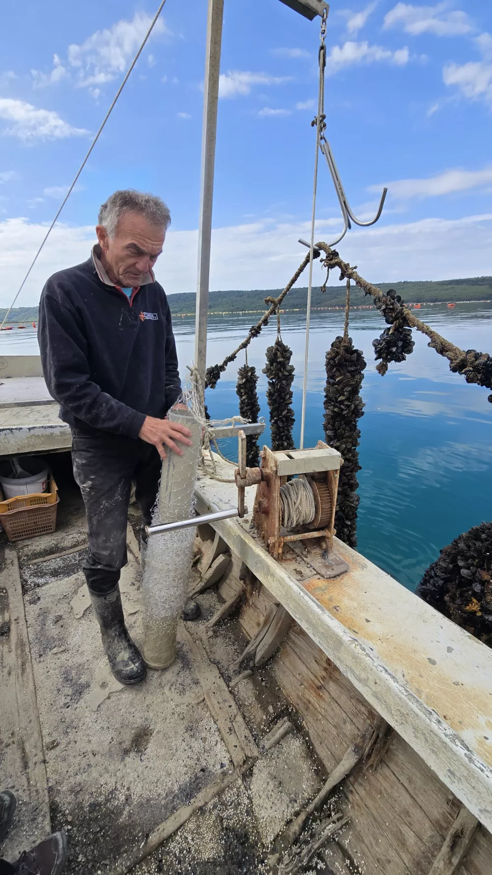 &Scaron;koljkar Pero, vzorčenje klapavic za histopatolo&scaron;ke preiskave. Foto: Zavod YouSea