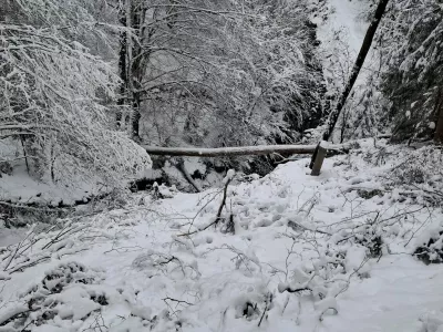 Prazne obljube z izplačili od&scaron;kodnin