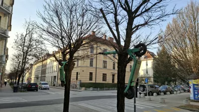 Protest ali vandalizem? Električni skiroji kar na drevesih