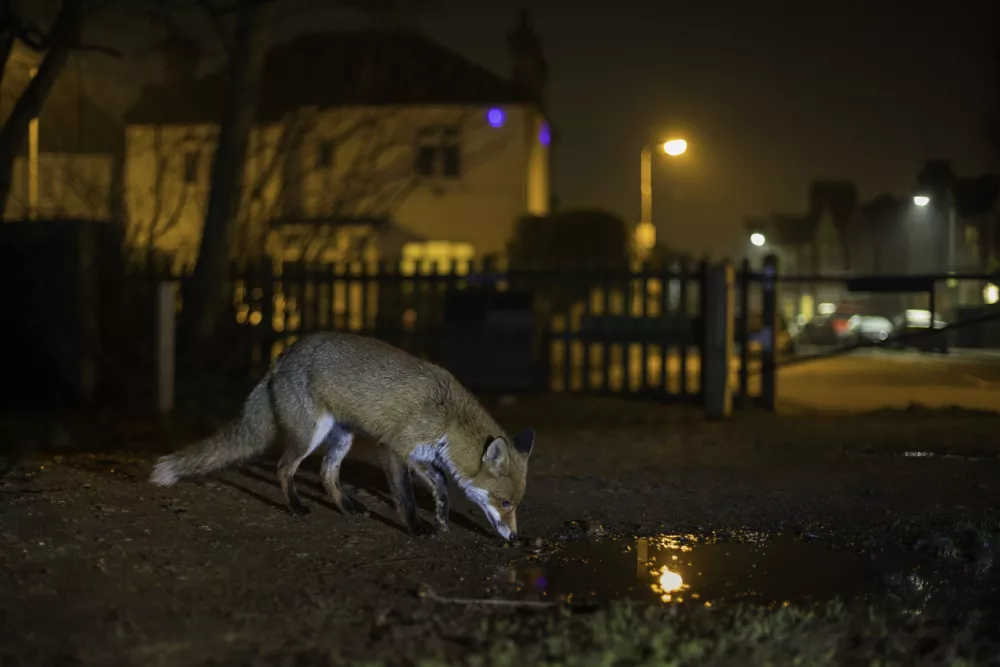 / Foto: Getty Images