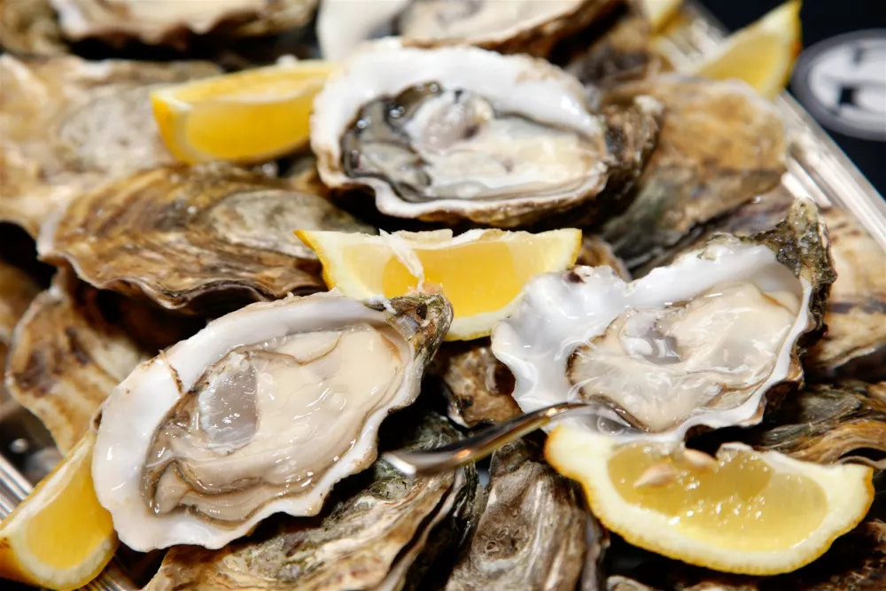 Close up of a platter of oysters with lemon wedges