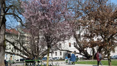 24.03.2026 -simbolična fotografija - pomla, Miklo&scaron;ičev parkFoto: Tomaž Skal / Foto: Tomaž Skale