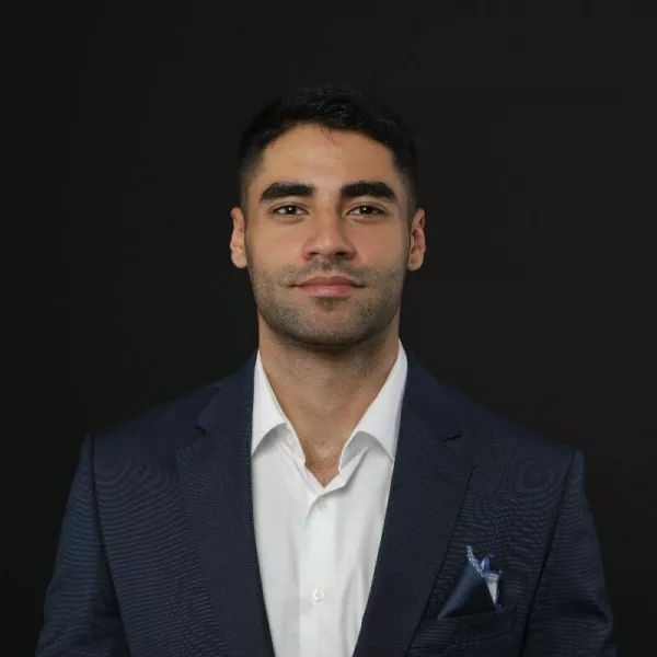 Bassel Doueik, geopolitični analitik