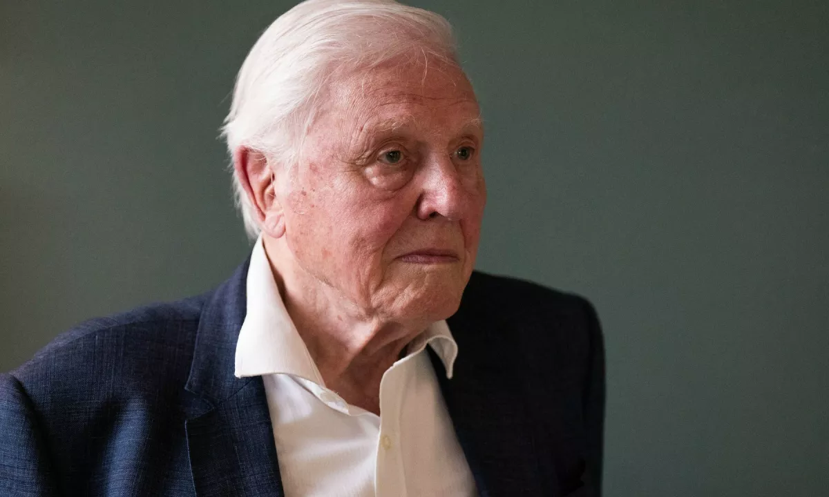 Najbolj znani naravoslovec na svetu David Attenborough bo 8. maja praznoval okroglih 100 let.