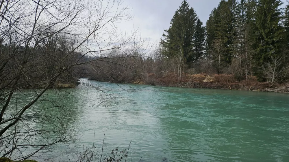 Minister za naravne vire in prostor Jože Novak si je na povabilo radovljiskega zupana Cirila Globočnika ogledal sotočje Save Bohinjke in Save Dolinke.