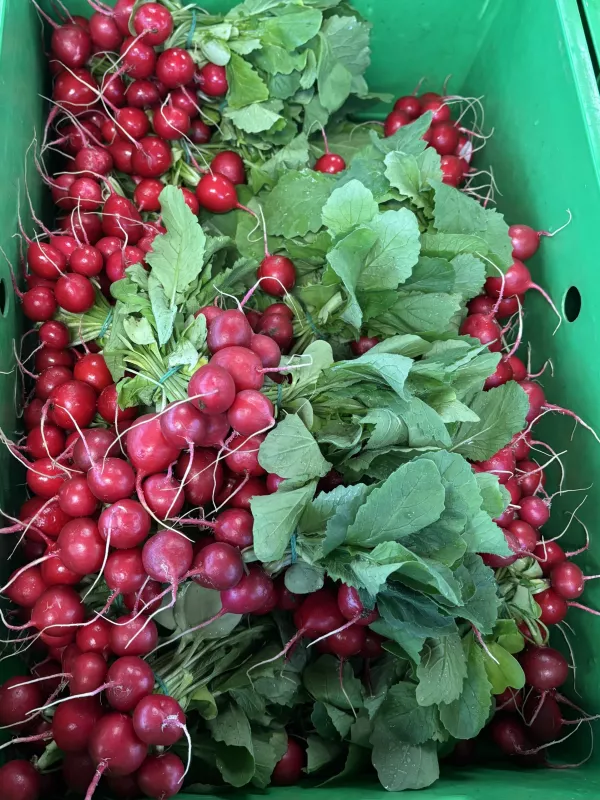 Redkvice, kmetija Porenta