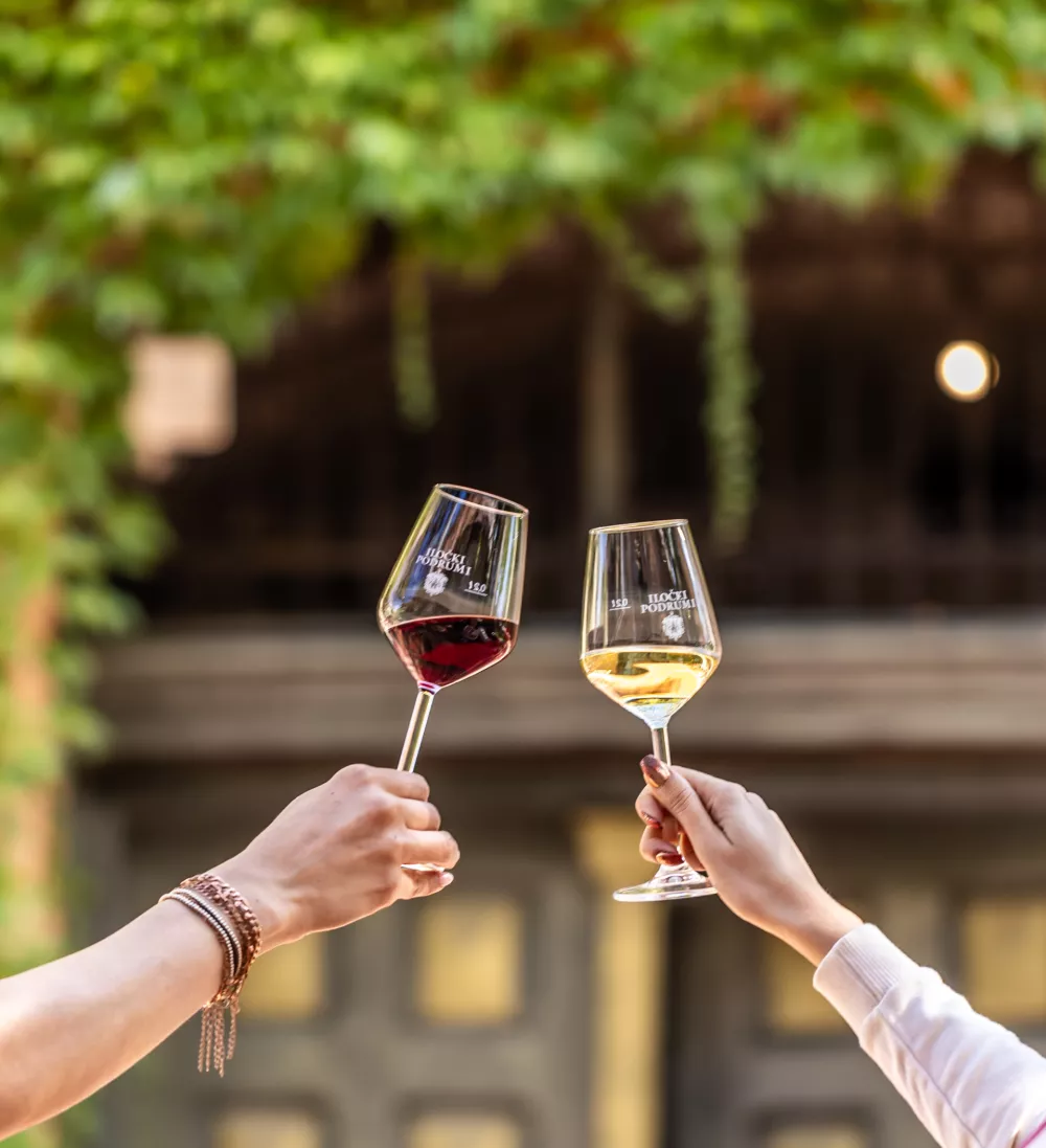 Foto: Vedran Bo&scaron;ković/Arhiv TZ VSŽ