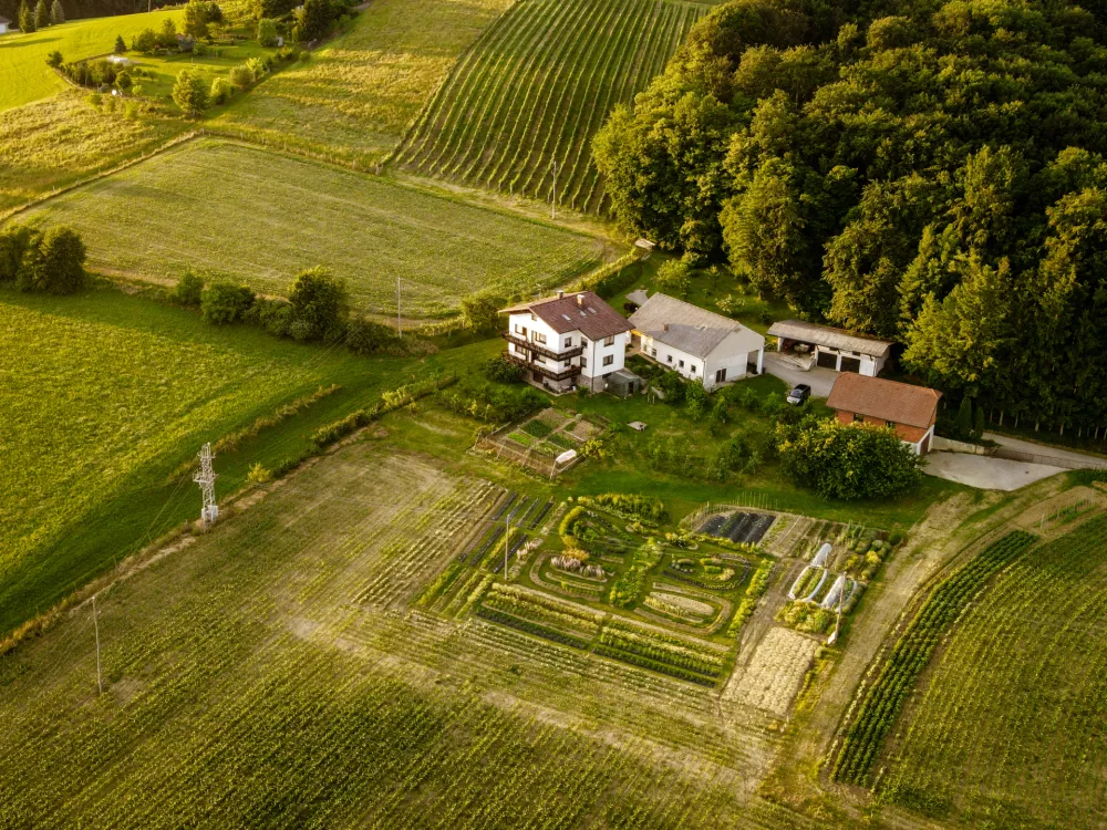 Zeli&scaron;čni raj sredi Slovenskih goric: pristna zgodba biologa in ekonomistke za fejst dober den
