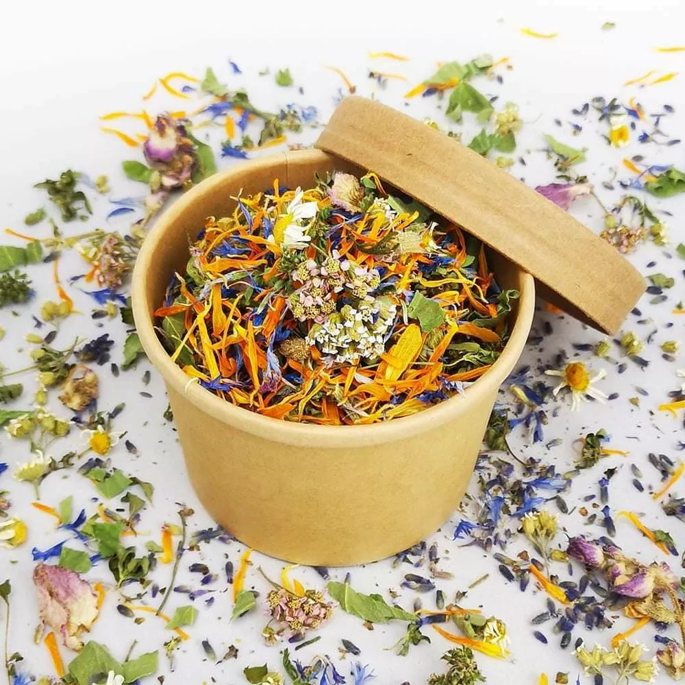 Zeli&scaron;čni raj sredi Slovenskih goric: pristna zgodba biologa in ekonomistke za fejst dober den