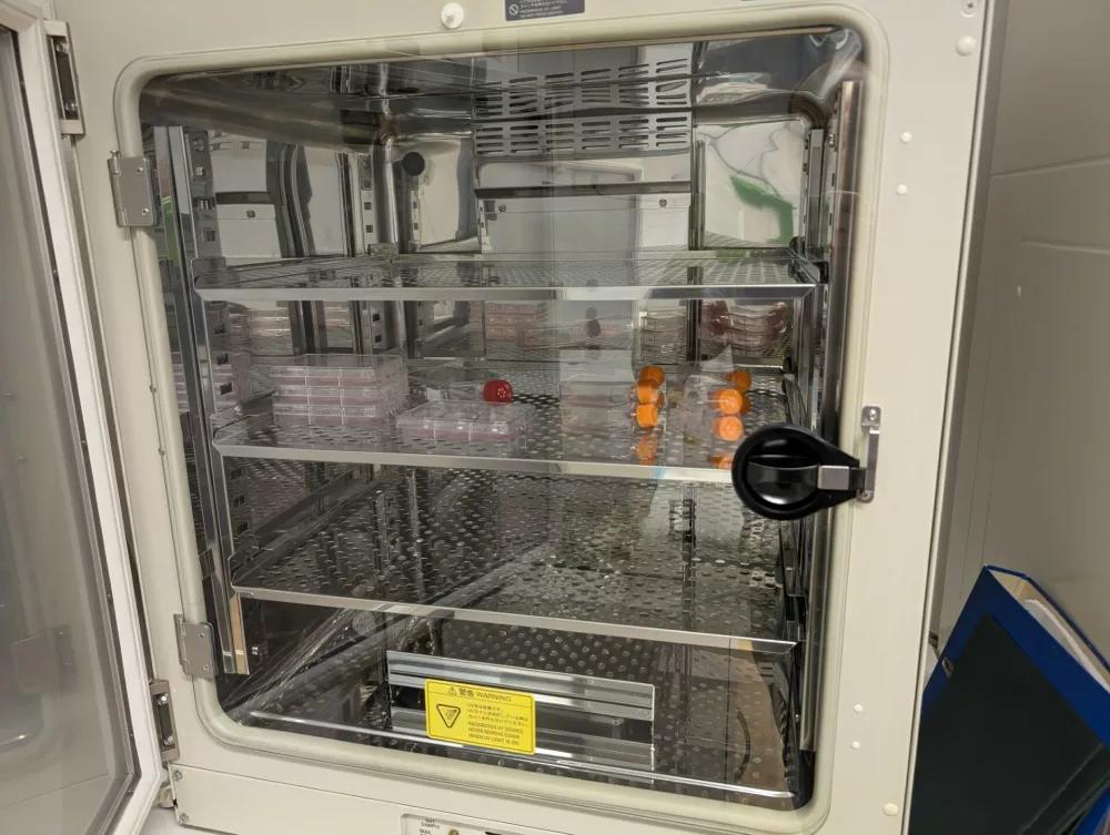 Laboratorijsko meso v goji&scaron;čih / Foto: Jernej Ogorevc