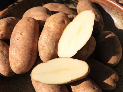 Sveži krompir. Slika je simbolična. / Foto: Istock