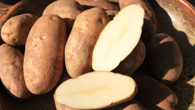 Sveži krompir. Slika je simbolična. / Foto: Istock