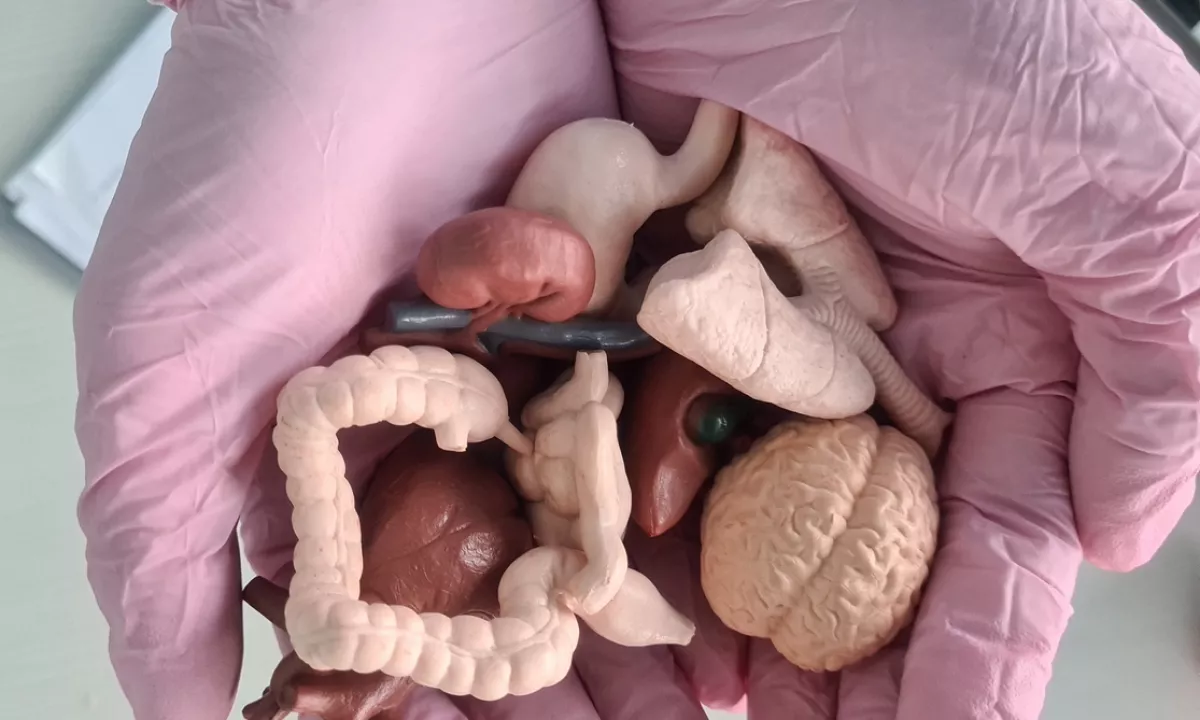 Ameriško podjetje je predstavilo neverjetno in precej sporno idejo za razvoj zdravil, ki so jo pograbili tudi milijarderji.