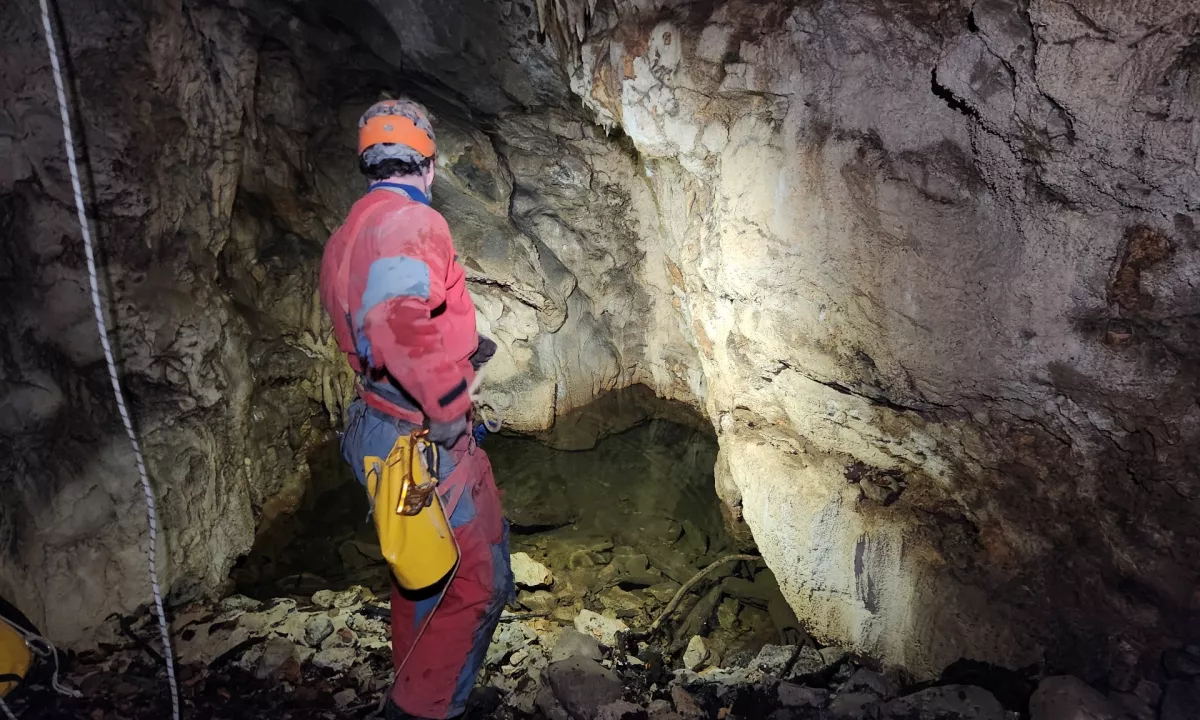 Črno človeško ribico, ki živi le v ožji okolici Kanižarice pri Črnomlju, lahko nečista voda usmrti. Nekoč so bile jame lokalna smetišča.