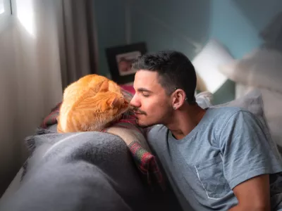 Mačke uporabljajo svoj močan voh za prepoznavanje in komunikacij z drugimi mačkami in tudi z ljudmi. Foto: iStock