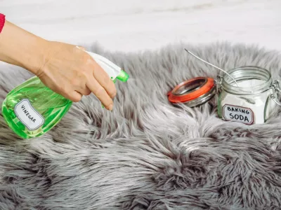 Image: 514006325, License: Royalty-free, Restrictions:, Model Release: no