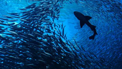 Photo taken in Sendai-Shi, Japan / Foto: Eyeem Mobile Gmbh Getty Images