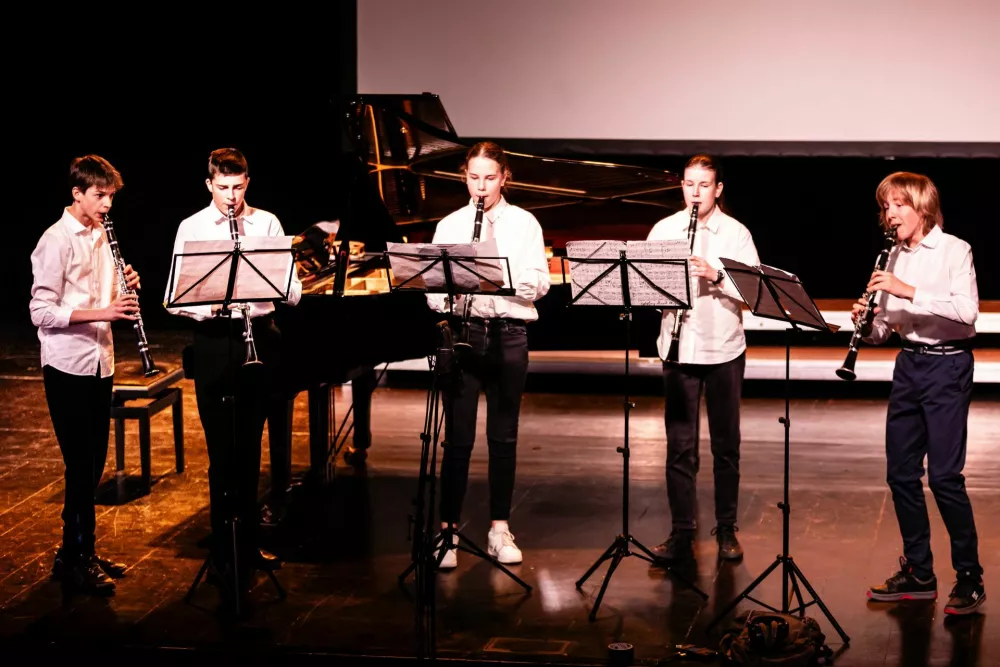 Zasebne glasbene &scaron;ole: Elitni hibrid med zasebnim in javnim